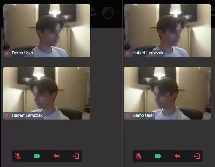 User mute microphone and video feedback.
